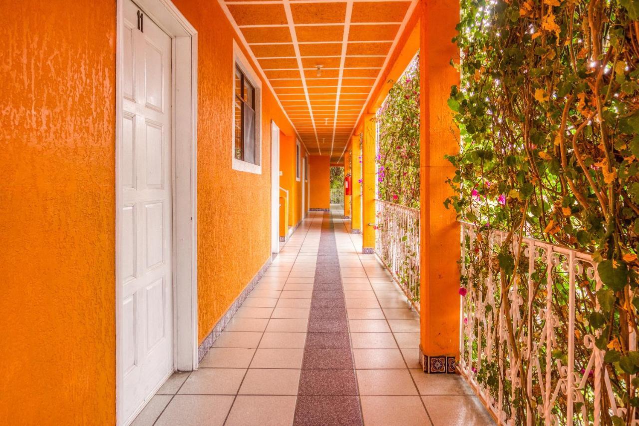 Hotel Posada Bugambilias San Luis Potosi Exterior photo